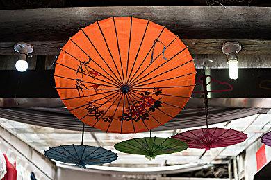 动物版《双人成行》黑白童话新作《白之旅》公布